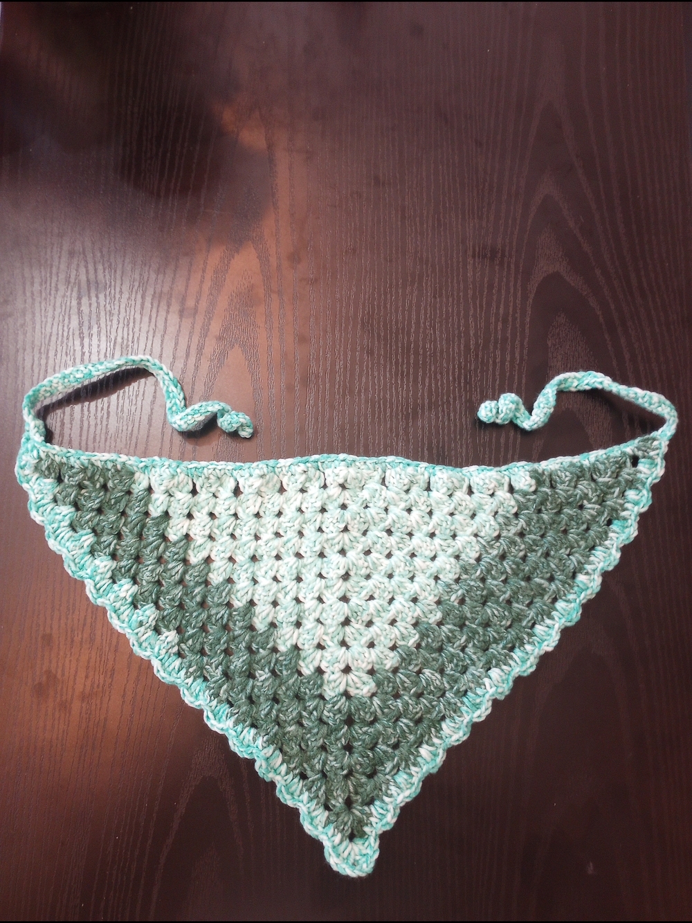 Boho Crochet Mint Sage Green Ombre Bandana Scallop Scarf Summer Beach